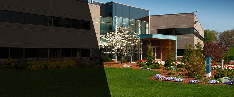 Tuckerton Landscapers