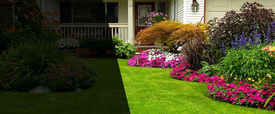 Tuckerton Landscapers