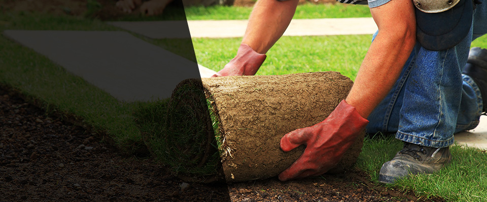 Tuckerton Landscapers